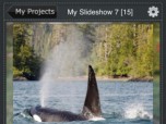 Photo Slideshow Director iPhone App
