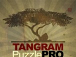Tangram Puzzle Pro: Secret Garden