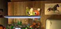 Tropical Bungalow 3D Screensaver