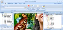 Sothink SWF Decompiler-Flash Decompiler