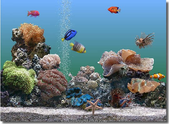 marine aquarium wallpaper. Marine Aquarium 3 3.0 Download - The Ultimate Virtual Saltwater Aquarium