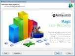 Magic Excel Recovery