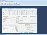 Bearing Capacity Software - PEYSANJ Screenshot