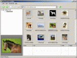 Web Pictures Grabber Screenshot