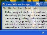 Actual Window Manager Screenshot