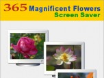 365 Magnificent Flowers Screen Saver Screenshot