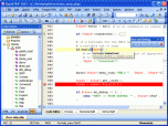 Rapid PHP Editor 2011 Screenshot