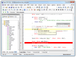 Rapid PHP Editor 2014 Screenshot