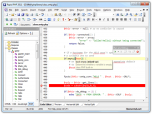 Rapid PHP Editor 2014