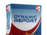 DC Dynamic Report