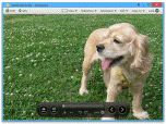 Honeyview Image Viewer