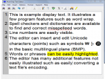 Atom Imp Text Editor Screenshot