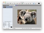 Free Image Editor for Mac Screenshot