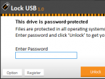 Lock USB Screenshot