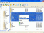 Attribute Manager Screenshot