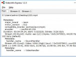 VideoInfo Express Screenshot