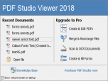 PDF Studio Viewer for Windows Screenshot