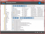 WinExt Batch Operator Screenshot