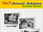 365 Ansel Adams Screen Saver Screenshot