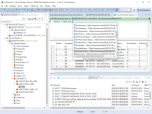 Rapid Database Extractor Screenshot