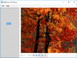 BitRecover TIFF Viewer Screenshot