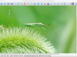 Easy Photo Studio FREE for Mac Screenshot