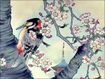 Antique Japanese Bird Prints Screenshot