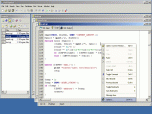 Perl Express Screenshot