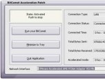 BitComet Acceleration Patch Screenshot