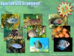 Aquarium Life Screensaver Screenshot
