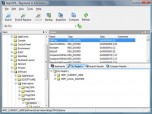 RegCOPA Registry Editor Screenshot