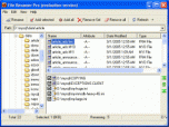 File Renamer Pro