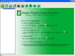 Stellar Phoenix Excel Recovery Screenshot