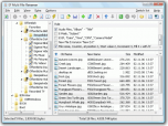 EF Multi File Renamer Screenshot