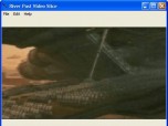 River Past Video Slice Screenshot