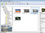 ShellBrowser Components Delphi Edition Screenshot