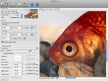 PhotoZoom Pro 2 for Mac Screenshot