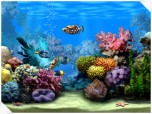 Living Marine Aquarium Screenshot
