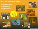 African Animals Screensaver Screenshot