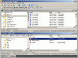 Paraben's Registry Analyzer Screenshot