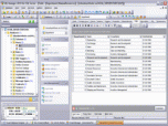 EMS SQL Manager for SQL Server Screenshot