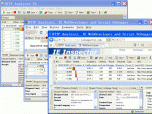 IE HTTP Analyzer Screenshot