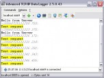 Advanced TCP IP Data Logger Screenshot