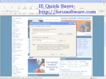 ie quick saver