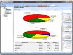 Work Examiner Standard