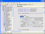 Dis# - .NET decompiler Screenshot