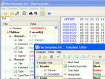 HexTemplate Screenshot