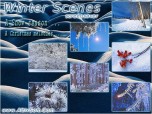Winter Scenes Screensaver
