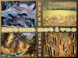 Autumn Motives Screensaver