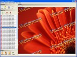 Visual Watermark Software - Photo Watermarking Sof Screenshot